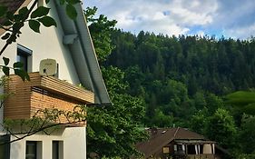 Am Hügel Apartment